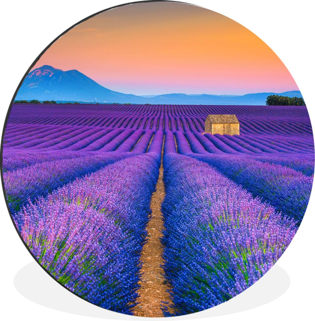 MuchoWow Aluminium Wandkreis Lavendel - Lila - Blumen Ø 30 cm Wanddeko Modern Wohnzimmer - Wand Bild - Wohnzimmer - Runde Bilder - Alubilder - K...