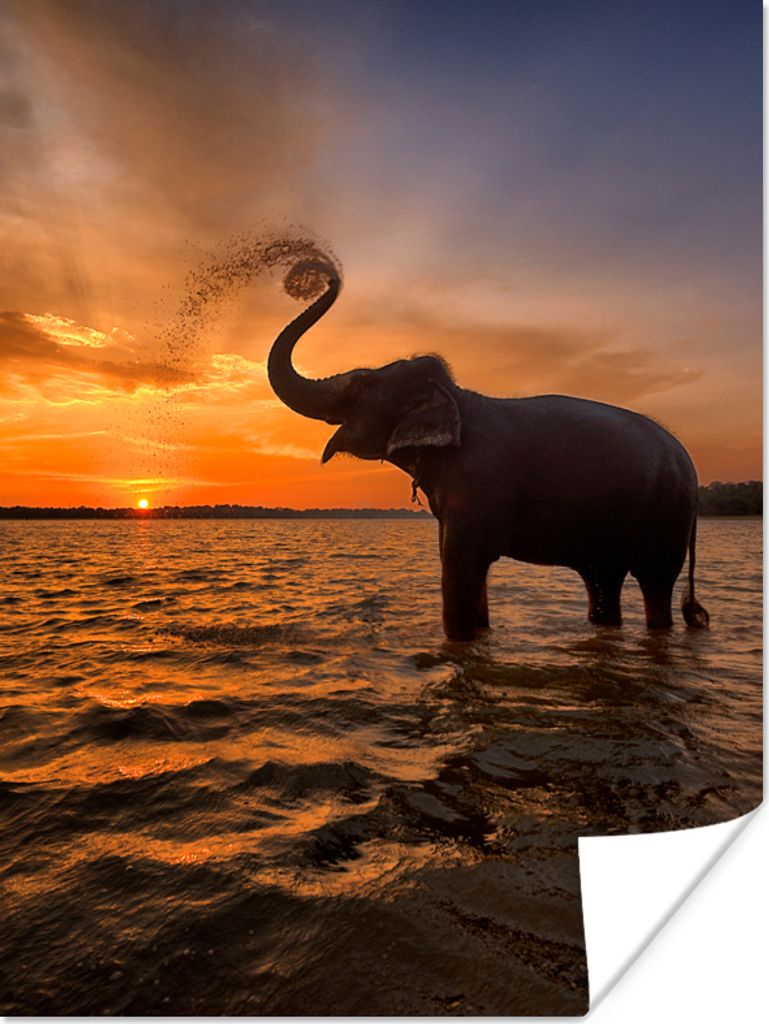 MuchoWow Poster Elefant - Meer - Tiere - Sonnenuntergang - Orange 30x40 cm - Wandplakat - Poster Kinderzimmer