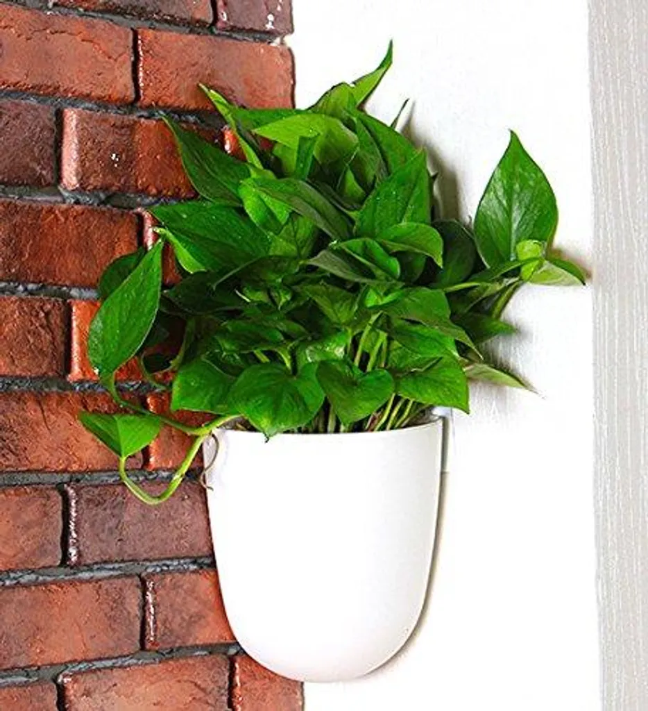 Jardinière murale en plastique avec réserve d'eau - Style triangulaire