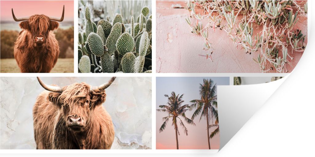 MuchoWow Wandtattoo Wandsticker Wandaufkleber Scottish Highlander - Pastell - e Pflanze 80x40 cm Selbstklebend und Repositionierbar - Aufkleber