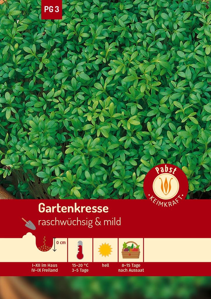 Artikelbild 1 von 'Gartenkresse Einfache' aus der Kategorie Kressesamen