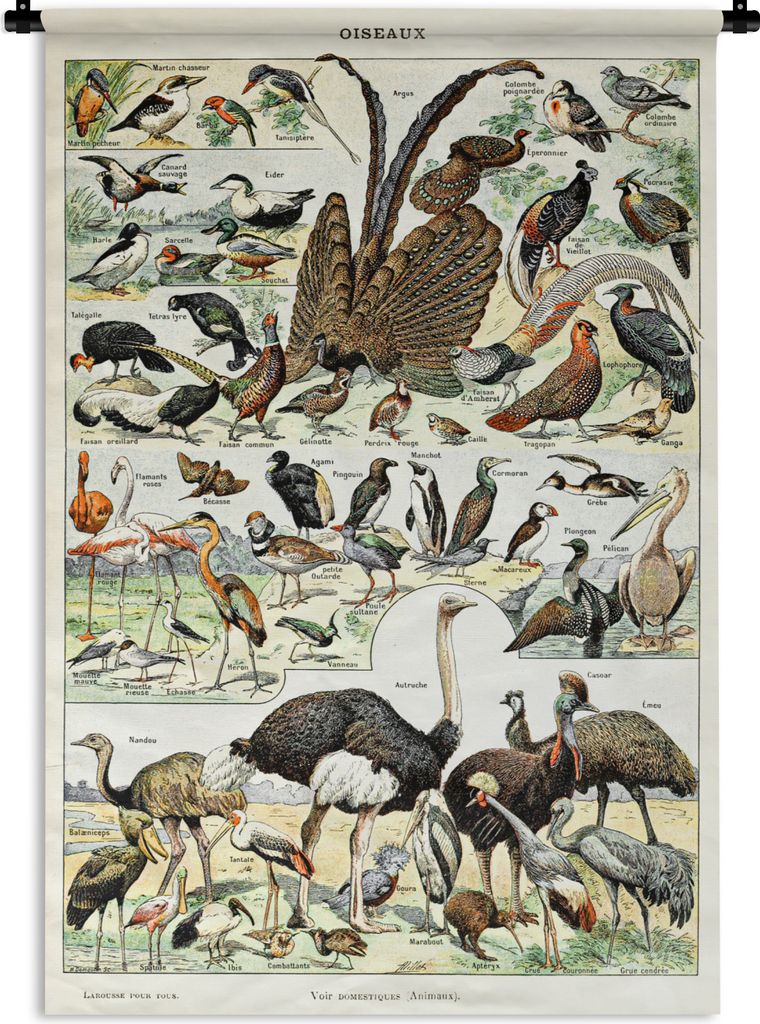 MuchoWow Wandteppich Wandbehang Vogel - Natur - Tiere - Vintage - Kunstwerk 60x90 cm Tapisserie Dekoration Wandtuch - Foto-Teppich - Abwaschbar