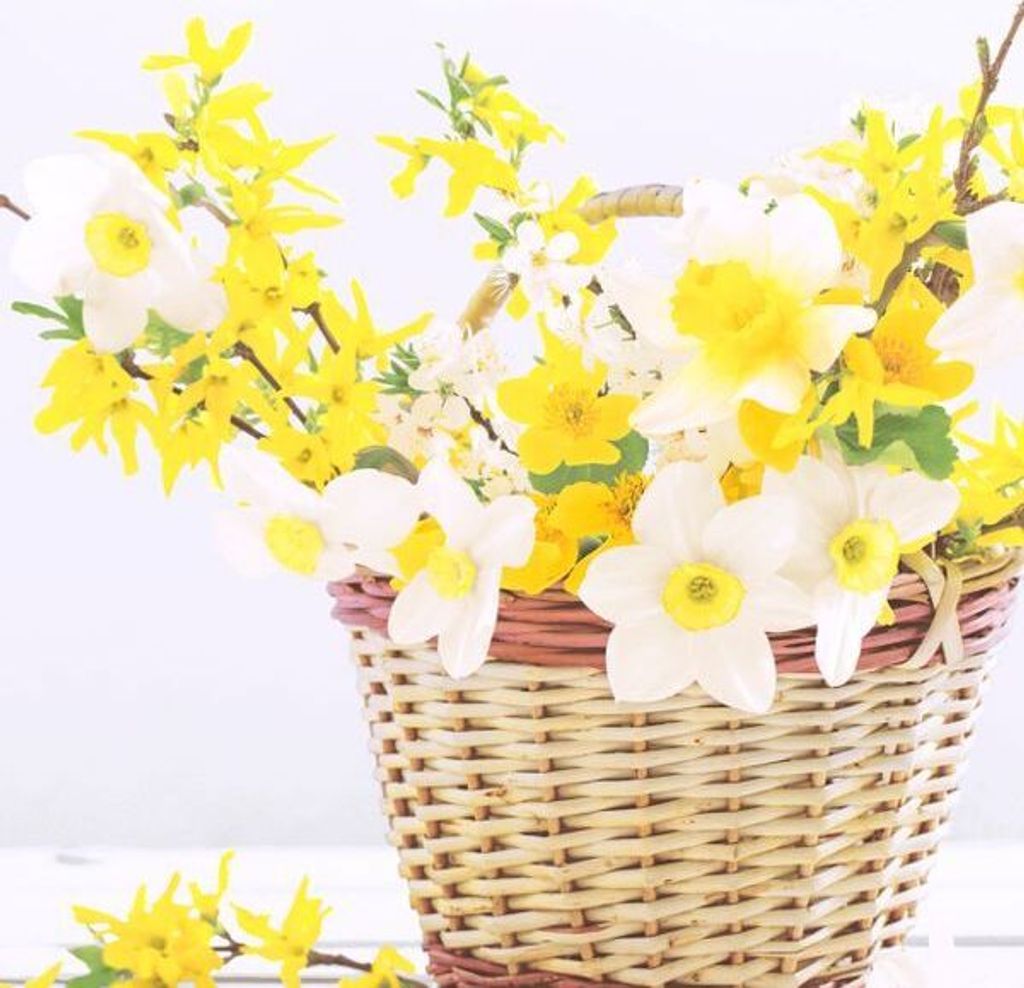 240 Duni Tissue-Servietten 33 x 33 cm Daffodil Basket 3-lagig