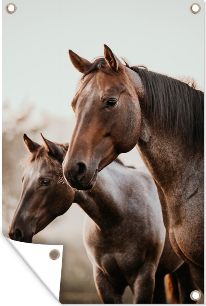 MuchoWow 40x60 cm Outdoor-Poster Gartendeko Sichtschutz Garten Poster für den Garten Pferde - Natur - Braun