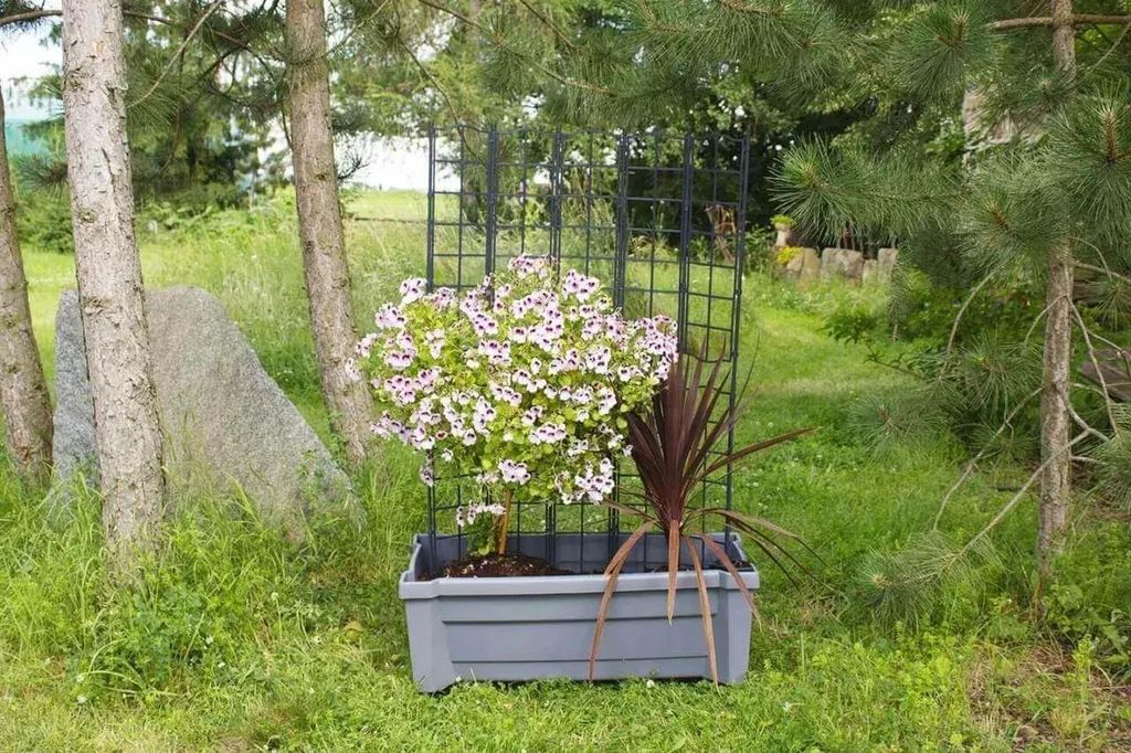 KHW Calypso Pflanzkasten aus hochwertigem Kunststoff auf Rollen mit Bewässerungssystem + modulares Spalier, stabil, wetter-/UV-beständig. Farbe: ...