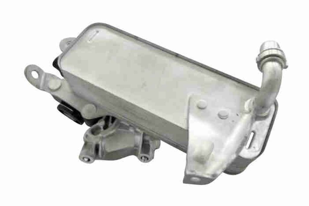 VEMO V20-60-0010 Ölkühler Motoröl für BMW 5 Touring (F11) 1 Schrägheck (F20) 3 Touring (F31) 5 Limousine (F10) 3 Touring (G21) 3 Limousine (F3...