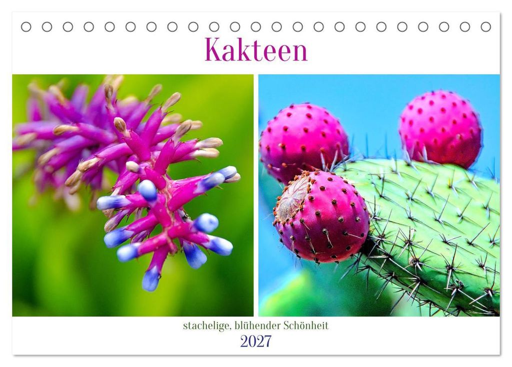 Kakteen - stachelige, blühende Schönheiten (Tischkalender 2027 DIN A5 quer), CALVENDO Monatskalender