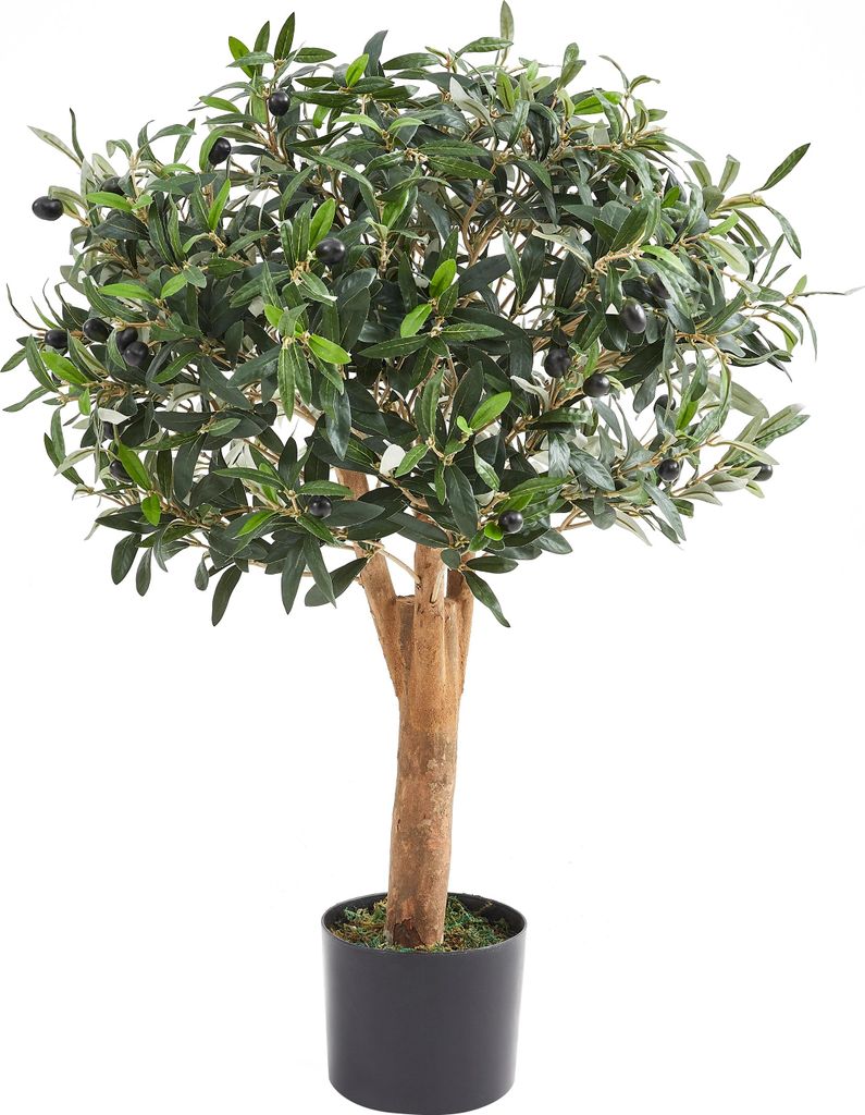aplanta Künstlicher Olivenbaum – Nerio | 75 cm, Produktbild 
