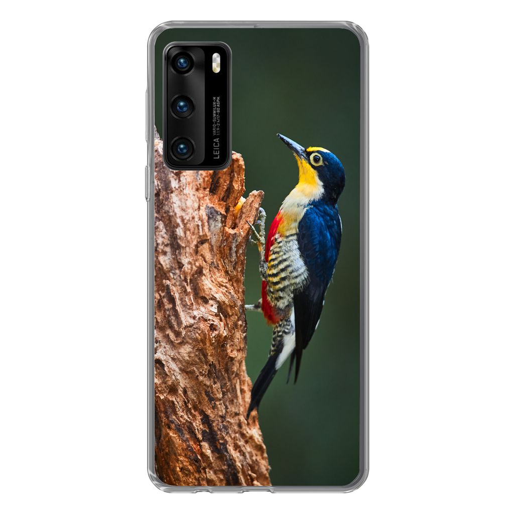 MuchoWow Handyhülle Schutzhülle Hülle für Huawei P40 Nahaufnahme eines bunten Vogels auf der Seite eines Baumstamms Silikon Softcase Handy H...