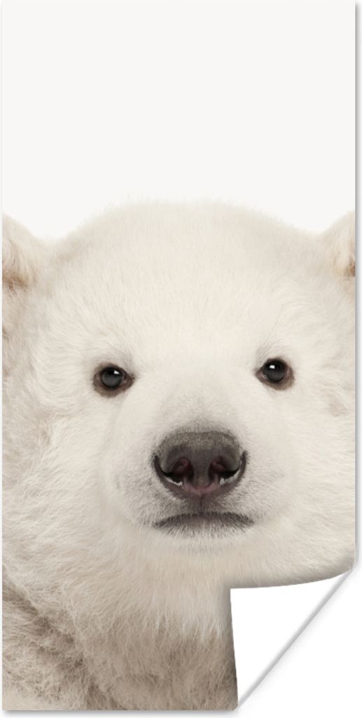 MuchoWow Poster Eisbär - Tiere - Weiß - Kinder - Jungen - Mädchen 60x120 cm - Wandschmuck