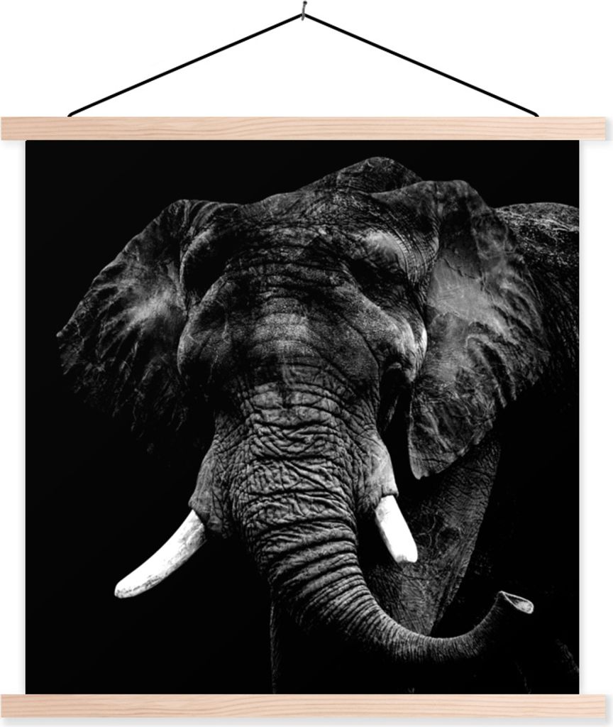 MuchoWow Textilposter Elefant - Tiere - Zähne - Schwarz - Weiß 40x40 cm mit holzfarbenen Rahmen - Posterleiste