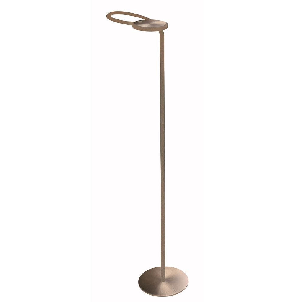 A floor lamp with a circular head and a thin stem, standing on a circular base.