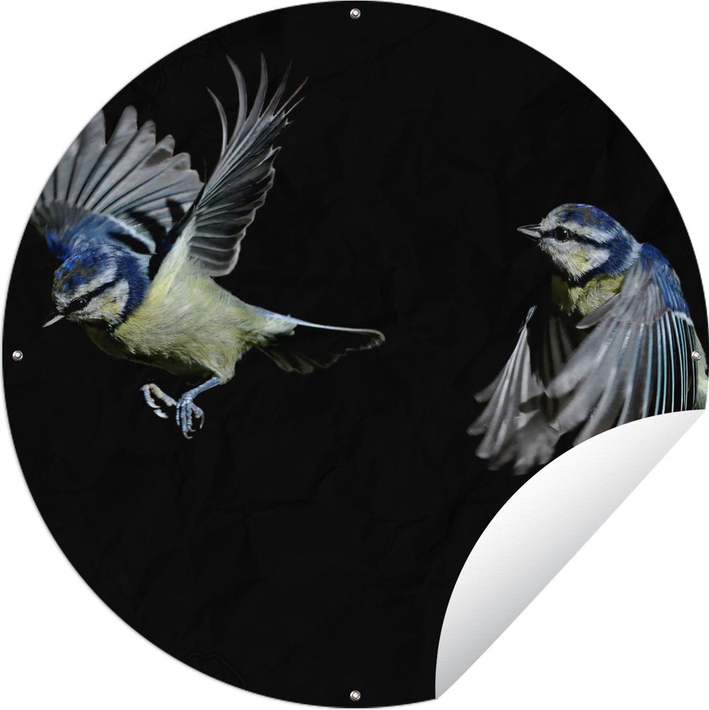 MuchoWow Gartenposter Outdoor-Poster Rund Vogel - Federn - Porträt Ø 120 cm Gartendeko Rundes Poster draußen