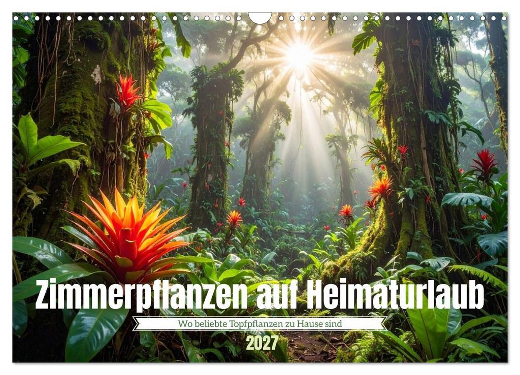 Zimmerpflanzen auf Heimaturlaub (Wandkalender 2027 DIN A3 quer), CALVENDO Monatskalender