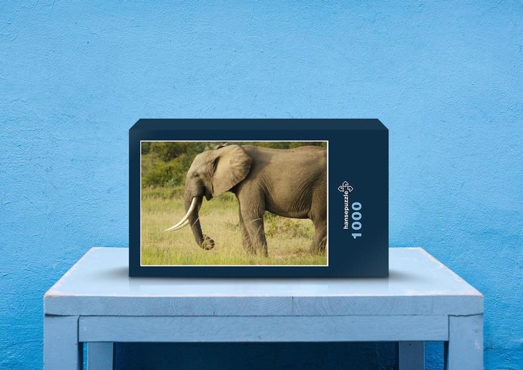 hansepuzzle 87238 - Elefant Puzzle, 1000 Teile, Tierwelt, 60,0 x 46,0cm mit hochwertiger Aufbewahrung, Kartonbox und wiederverschließbarem Beutel