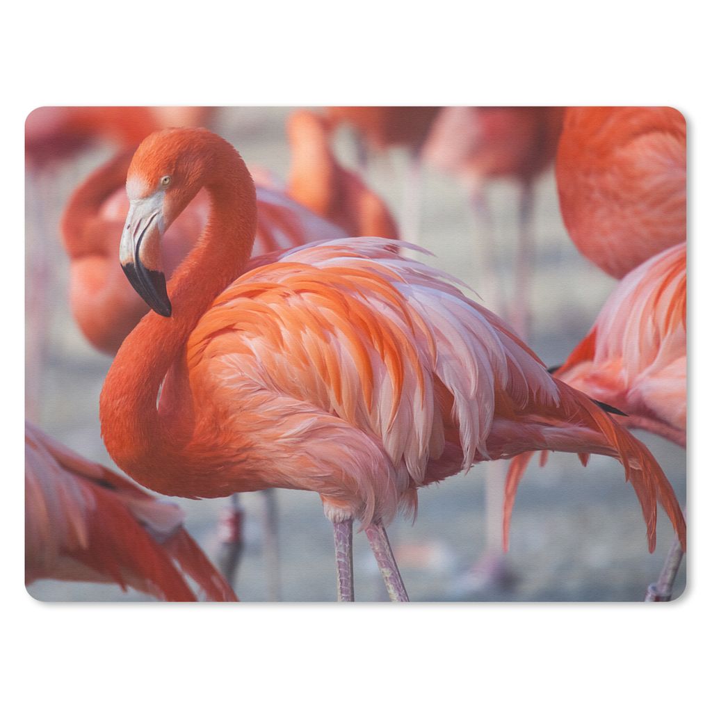 MuchoWow Mauspad Mousepad Flamingo - Vogel - Tiere - Rosa 40x30 cm - Mousepads - Maus Mat - Pad - Mausunterlage - Anti Rutsch