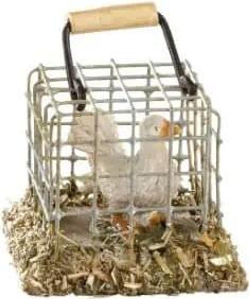 Käfig mit Taube, Holzminiatur, für Hobby- und Modellbau Produktbild 