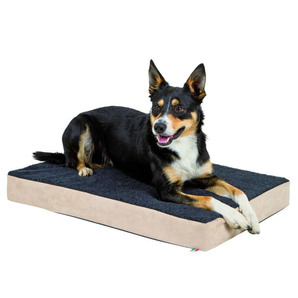 Kerbl Memory-Schaum Hundematratze 80 x 50 cm Beige und Grau 80326