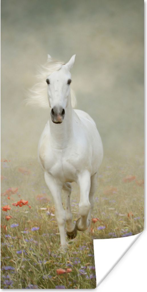 MuchoWow Poster Pferd - Stoff - Blumen 20x40 cm - Plakat - Foto