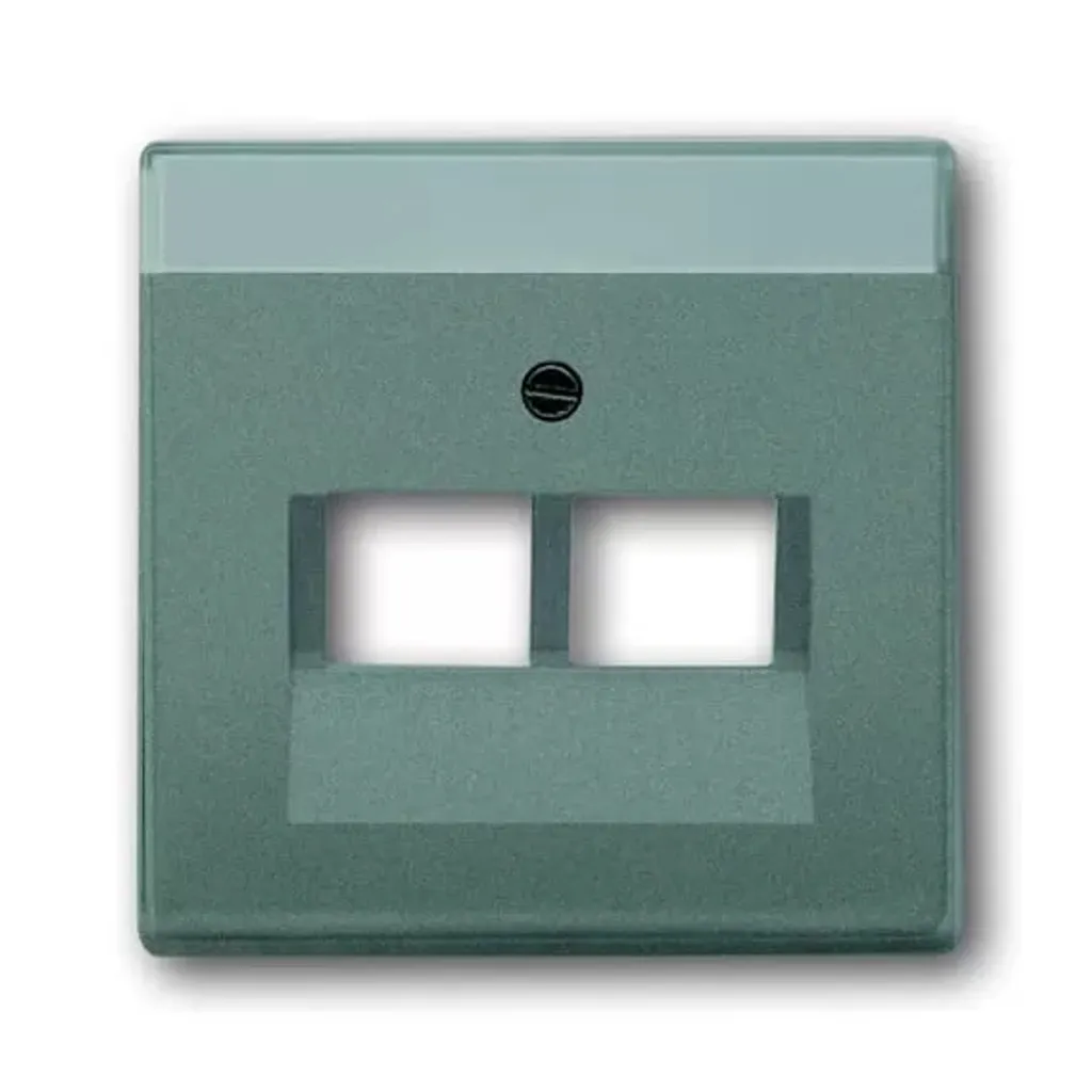 Plaque de Finition Meteor Busch-Jaeger 1803-02-803 pour Réseau Ethernet