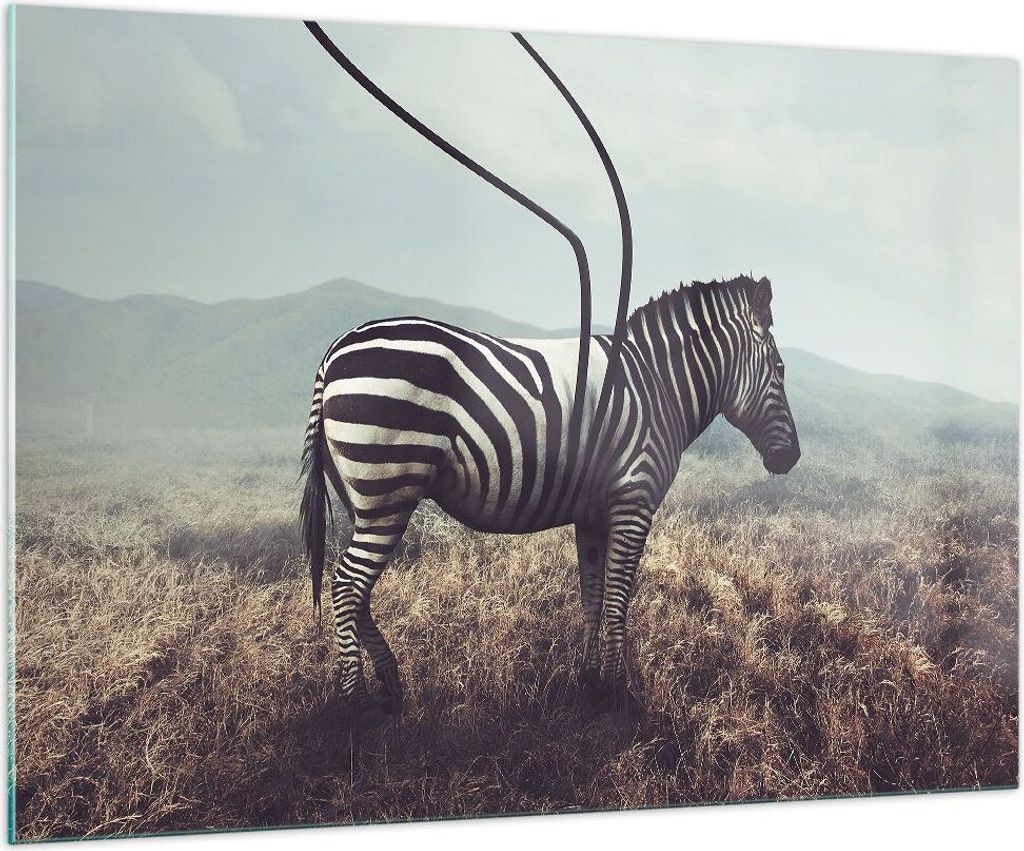 Bilder auf glas - Zebra Tier Wiese - 100x70cm - Glasbilder - Wandbilder - Kunstdruck - zum Aufhängen bereit - Wanddekoration aus Glas - Glas Bilde...