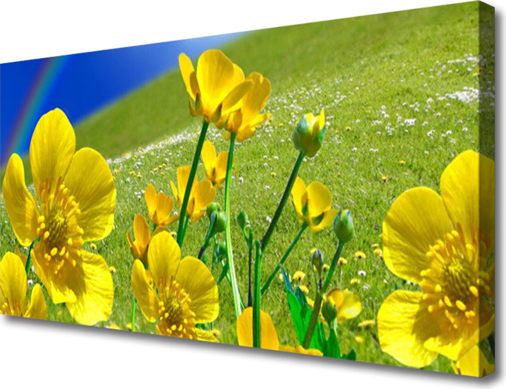 Tulup Leinwand-Bilder 100x50 Wandbild Canvas Kunstdruck Wiese Blumen Regenbogen Natur