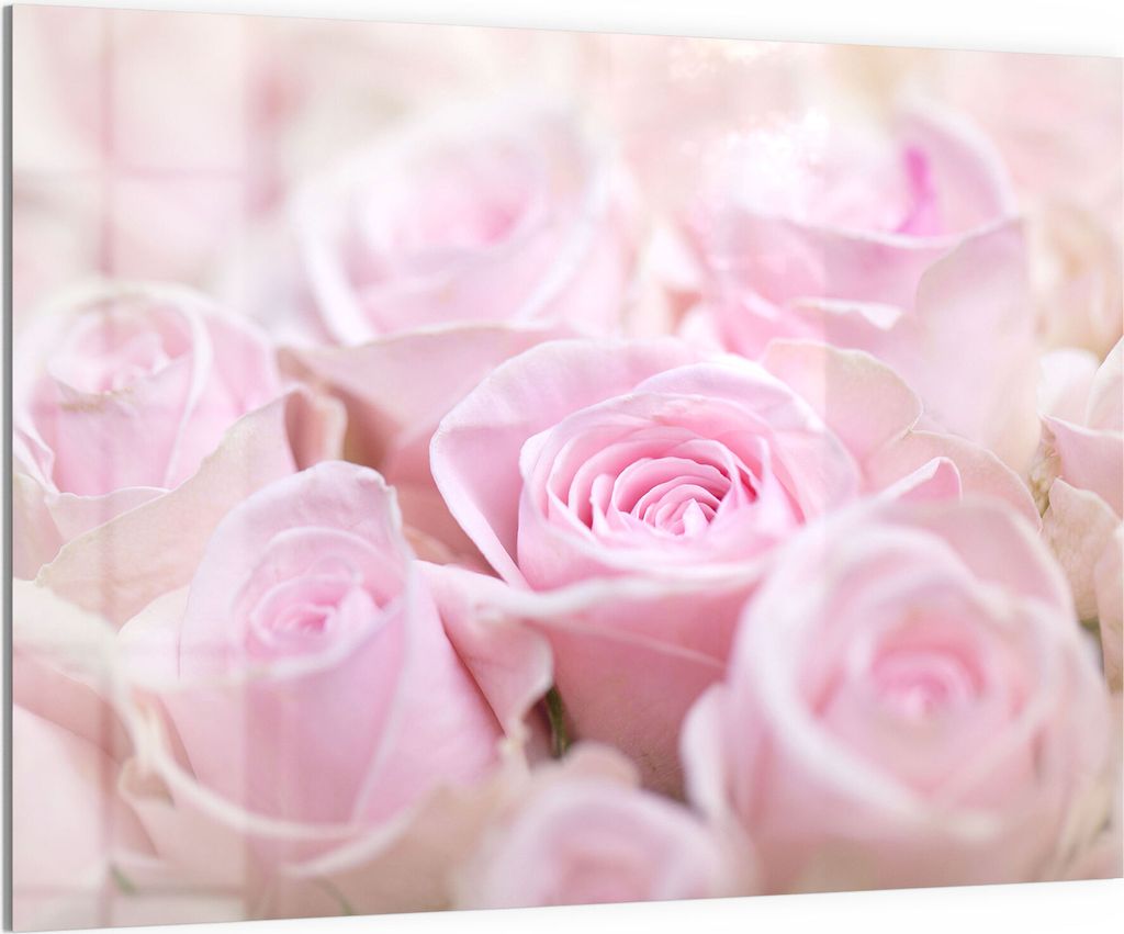 DEQORI Magnettafel Glas 120x90 cm 'Zarte Rosenblüten' beschreibbar Whiteboard