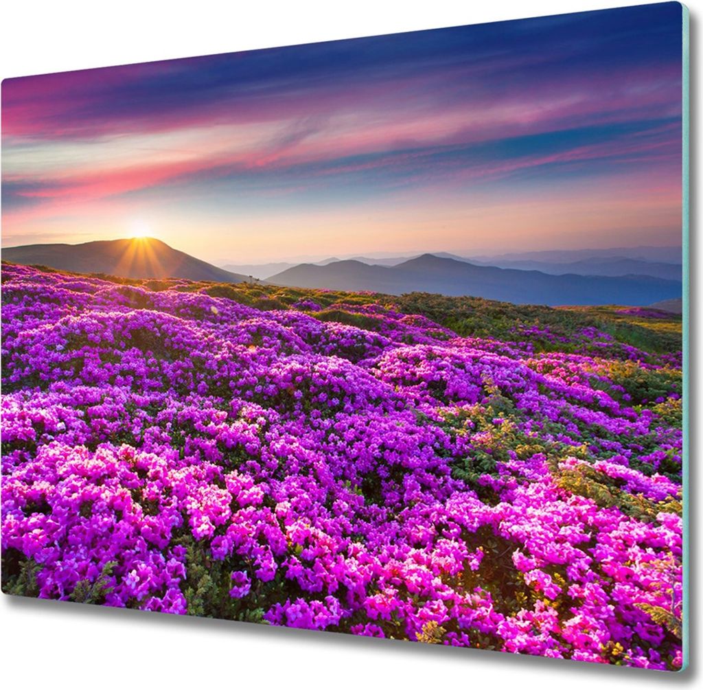 Glas Herdabdeckplatte 60x52 cm Spritzschutz Glasabdeckplatte Schneidebrett Blumen in den Bergen