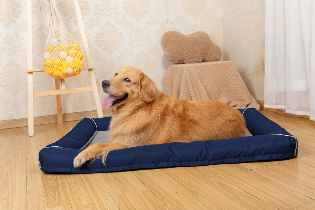 Raikou Hundebett Hundesofa Katzenbett Tierbette Bezug abnehmbar und waschbar Boden wasserabweisend Anti Rutsch Navy Gr. 80*60cm