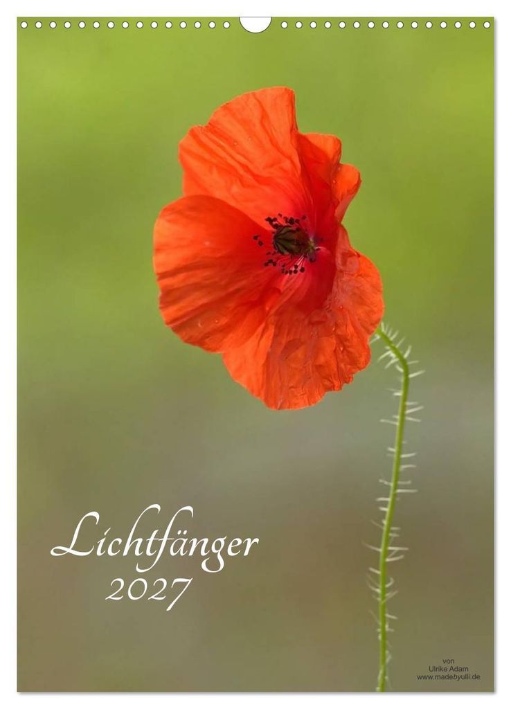 Lichtfänger (Wandkalender 2027 DIN A3 hoch), CALVENDO Monatskalender