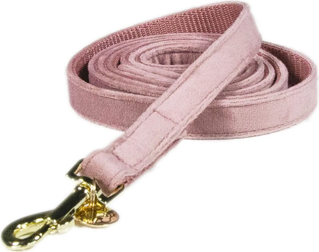 Laisse chien velours Kentucky Dogwear Rose - Anti-irritation 120cm Taille S