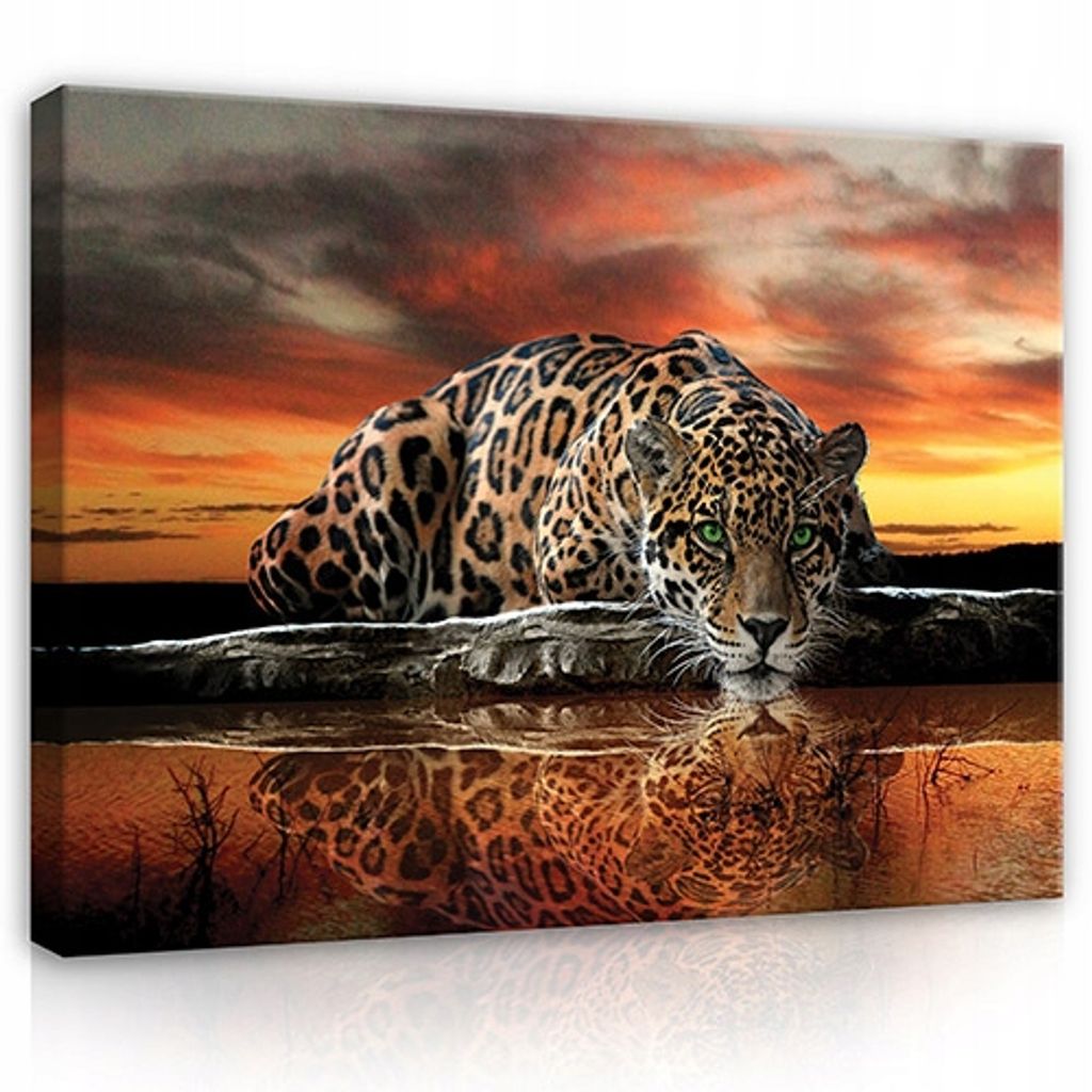 Leopard Leinwandbild 120x80 Afrika Tiger cm