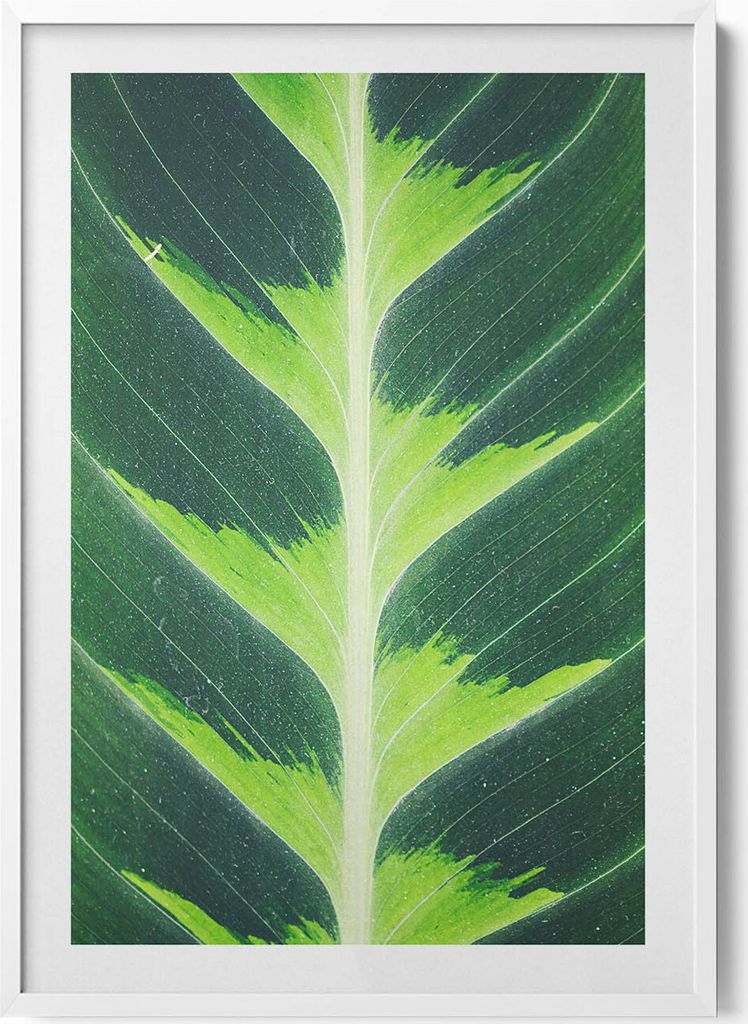 Textur und Adern eines Blattes– Wandbild mit Rahmen – Gerahmtes Bild – Wanddekoration – 70x100 cm – Weiß Rahmen