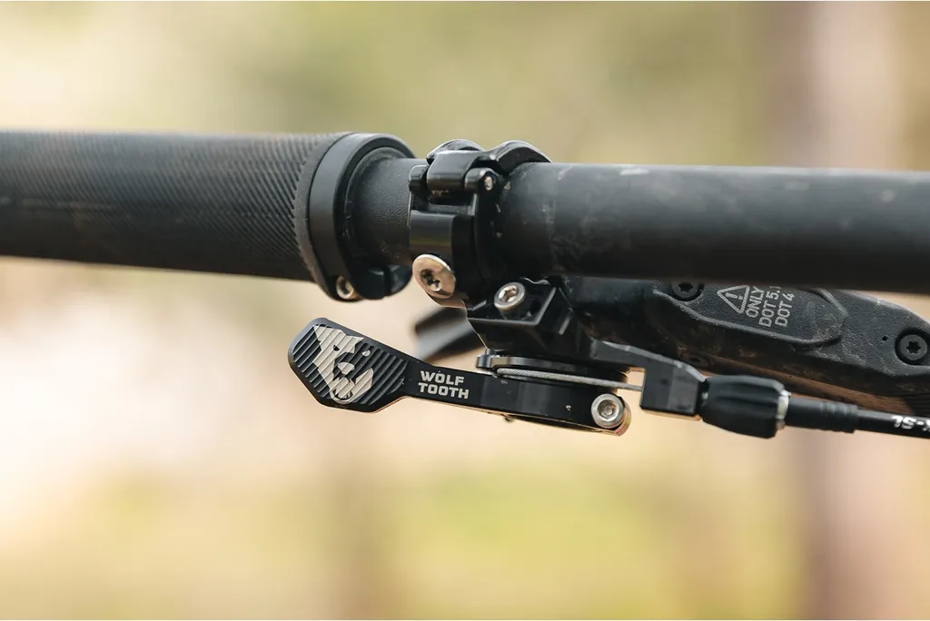 Commande de Vitesse Wolf Tooth Pro Clamp Argentée en Aluminium Usiné