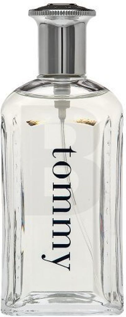 Tommy Hilfiger Tommy Eau de Toilette 100 ml per uomo Immagine del prodotto 