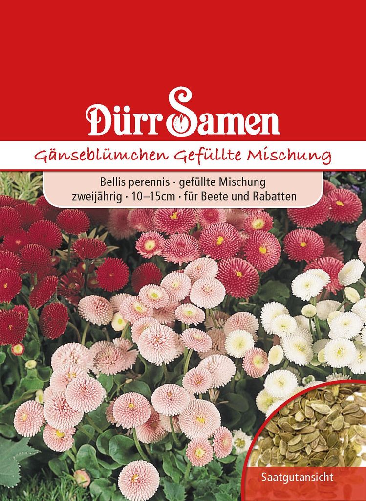 Gänseblümchen gefüllte Mischung | Gänseblümchensamen von Produktbild 