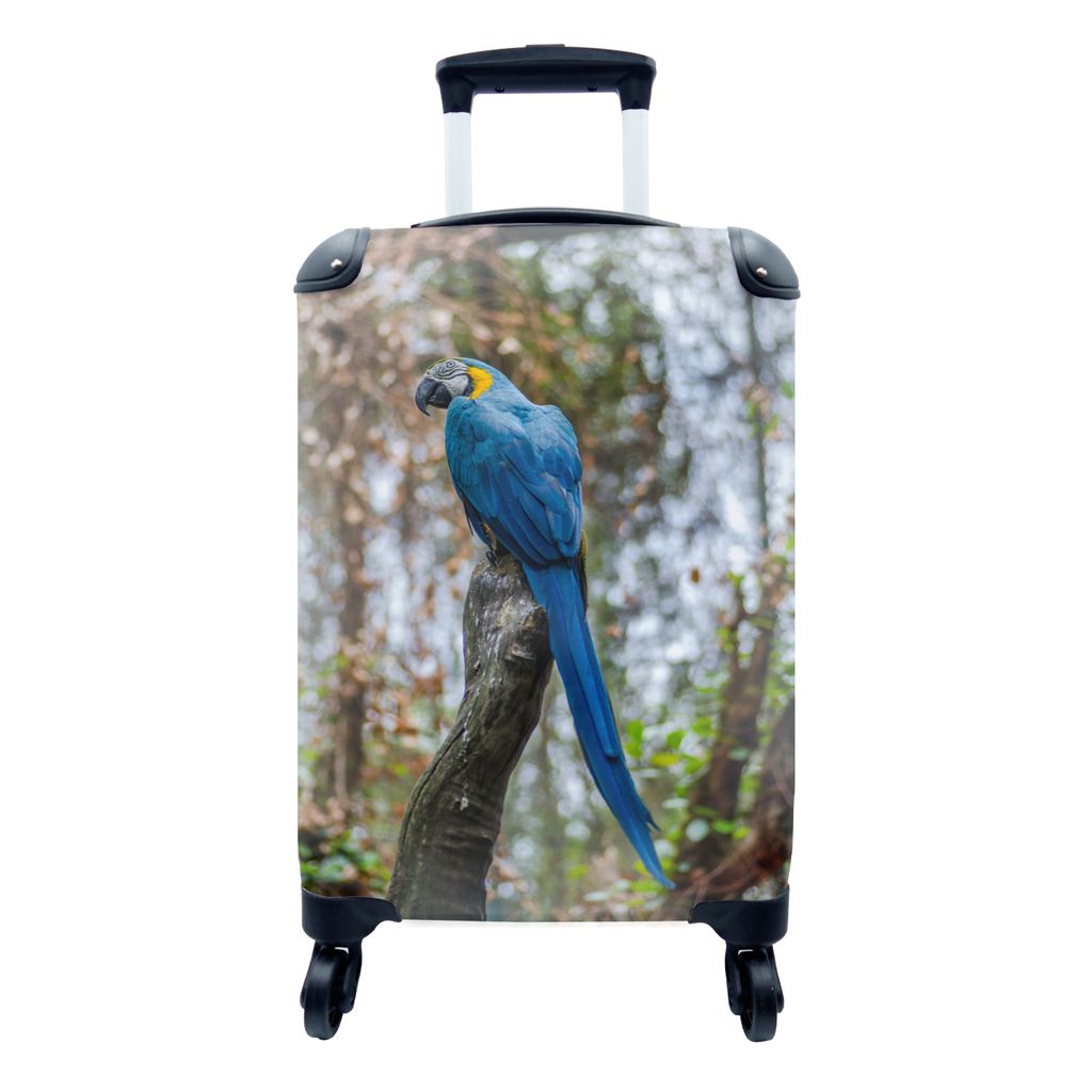 MuchoWow Koffer Handgepäck Trolley Rollkoffer Kleine Reisekoffer mit 4 Rollen - Vogel - Papagei - Blau - Cabin Size < 55x40x23 cm & 55x40x20 cm ...