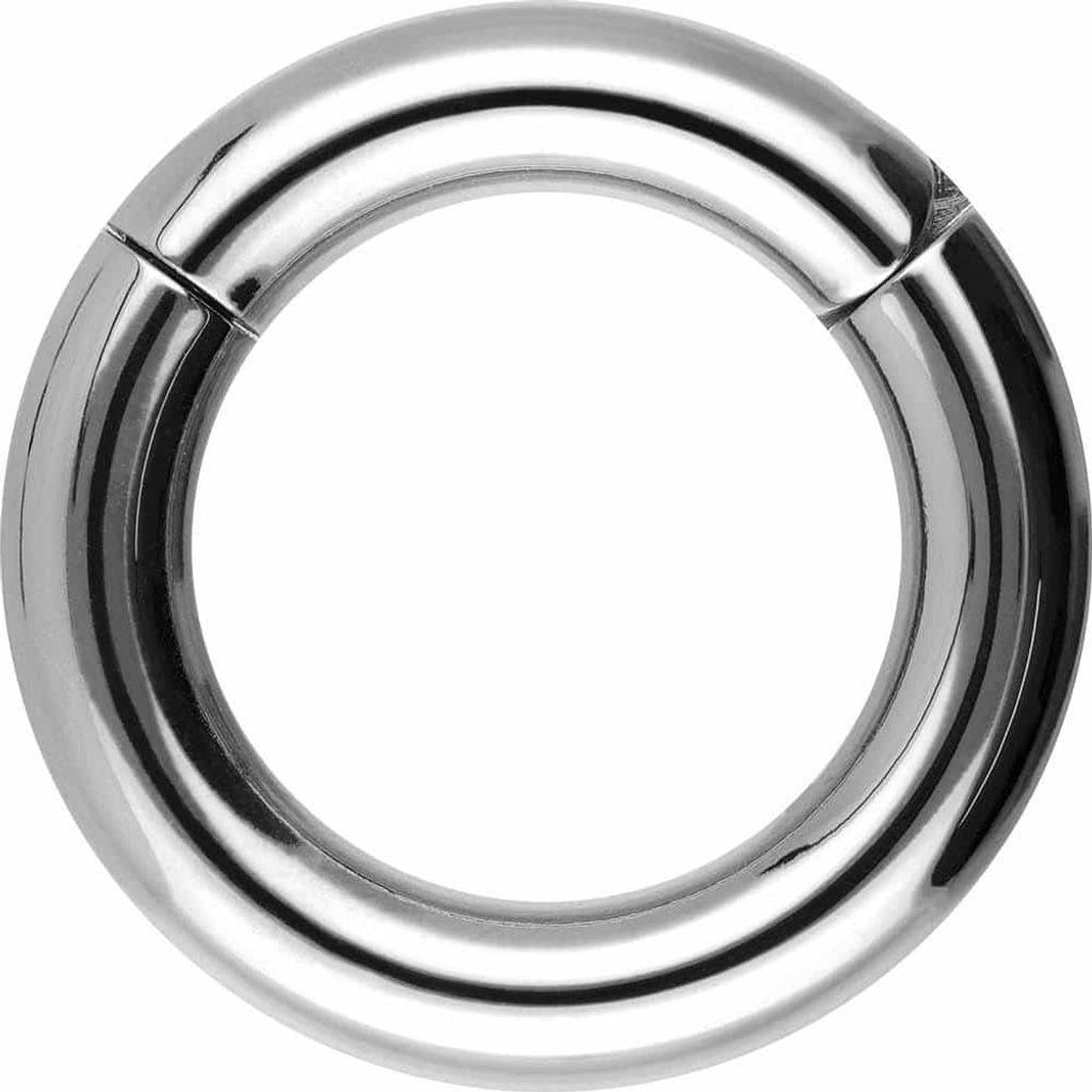 Ohrpiercing, Nasenpiercing, Septum Piercing Chirurgenstahl Segmentring Clicker Silber Innendurchmesser: 20mm + Stabstärke: 6mm
