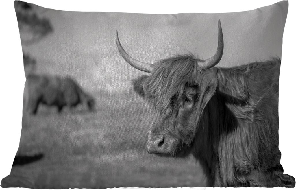 MuchoWow Outdoor Kissen - Schottisches Hochlandrind - Tiere - Schwarz - Weiß - 50x30 cm - Wetterfest - Lounge Kissen - Sofa kissen - Wohnzimmer ...