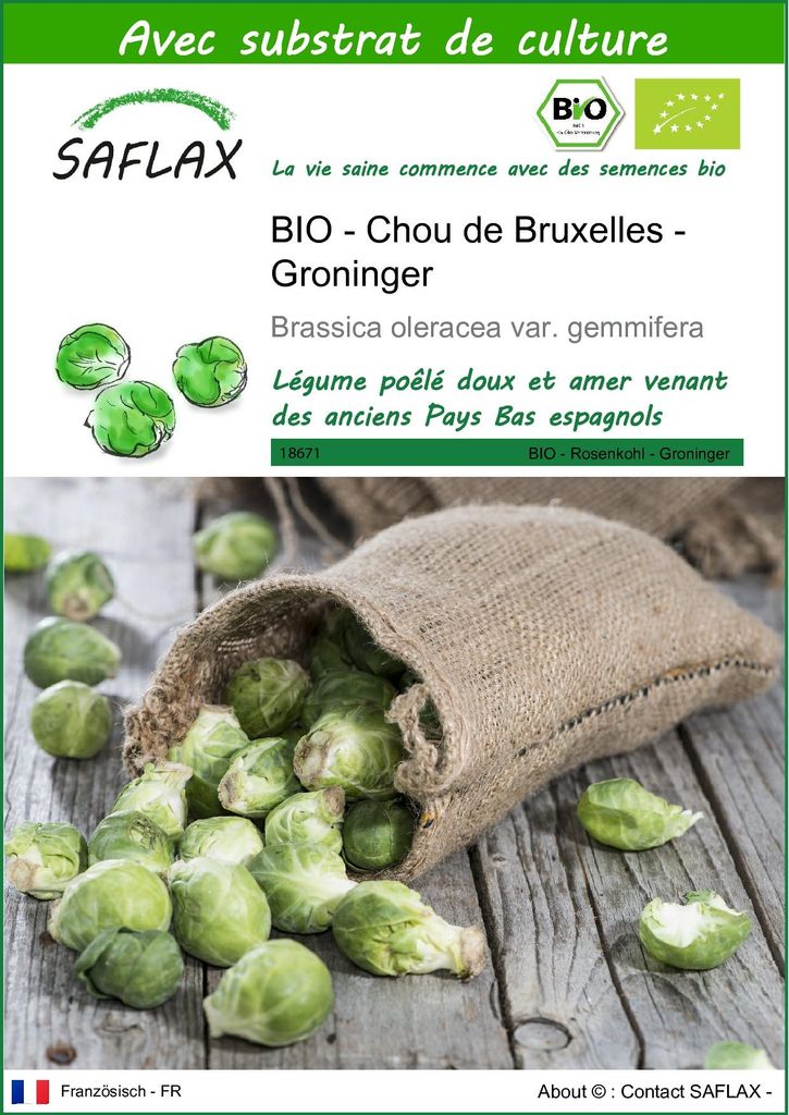 SAFLAX  -- Chou de Bruxelles - Groninger - 30 graines - Image du produit 
