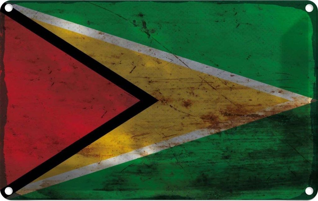 vianmo Blechschild 12x18 cm Guyana Rost Flagge Fahne Wappen