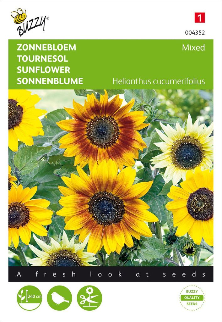 Sonnenblume Mischung | Sonnenblumensamen von Buzzy Seeds