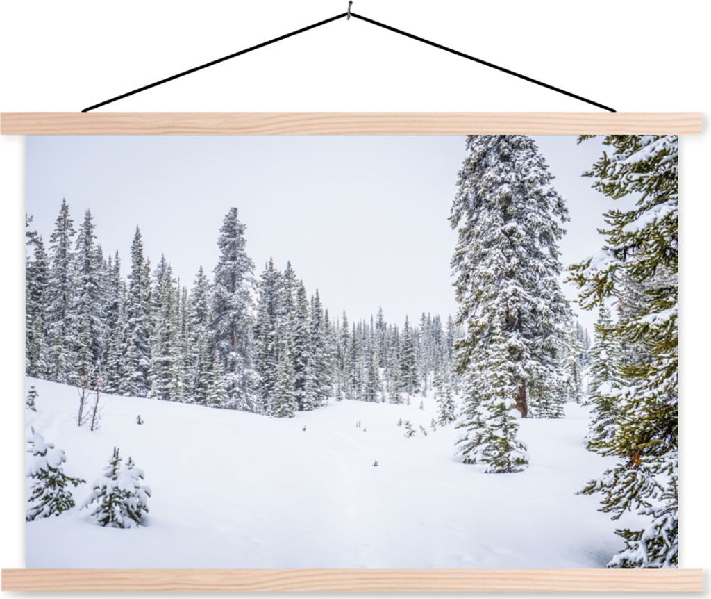 MuchoWow Textilposter Die Bäume, die in einem verschneiten Waldgebiet wachsen 60x40 cm mit holzfarbenen Rahmen - Bilder