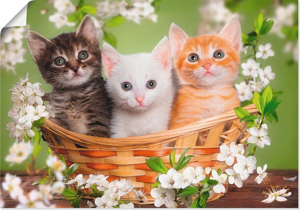 ARTland Poster Katzen sitzen in einem Korb Größe: 100x70 cm