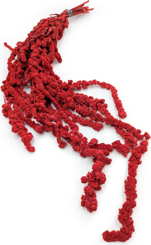 Stabilisiertes Amaranth Ball - Amaranth - Rot Produktbild 
