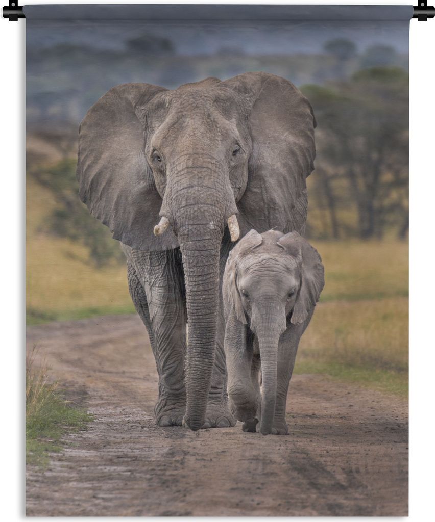 MuchoWow Wandteppich Wandbehang Elefantenmutter und Kalb auf einer Straße im Ngorongoro-Krater 150x200 cm Tapisserie Dekoration Wandtuch - Wanda...