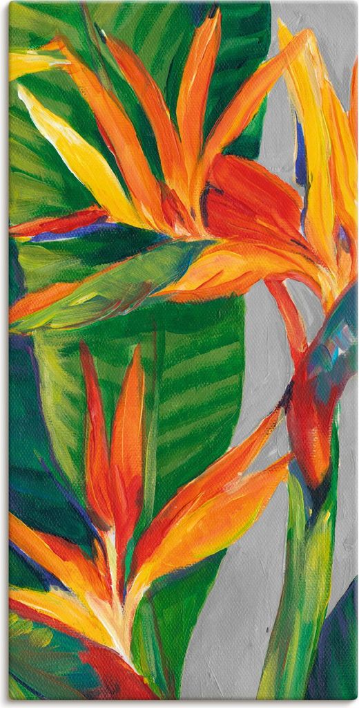 ARTland Leinwandbild Paradiesvogel II Größe: 50x100 cm