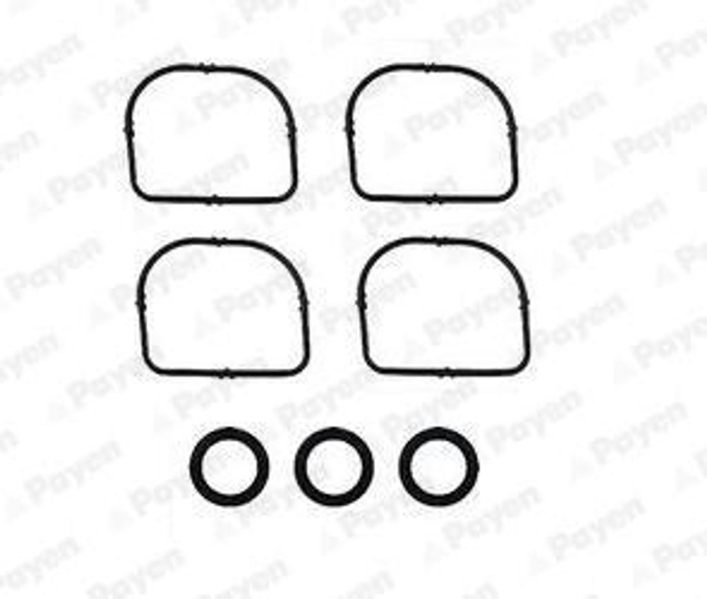 7x PAYEN HA5024 Dichtungssatz Ansaugkrümmer für BMW 3 Touring (E91) 3 Limousine (E90) 3 Limousine (E46) 1 Schrägheck (E87) 5 Limousine (E60) 3 T...