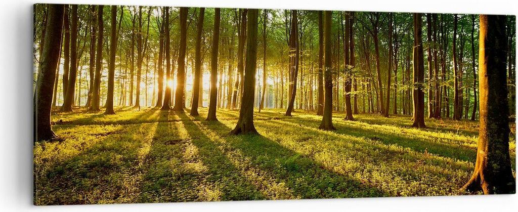 Bild auf Leinwand - Leinwandbild - Wald grün Sonnenstrahlen Natur - 140x50cm - Wand Bild - Wanddeko - Leinwanddruck - Bilder - Kunstdruck - Wandde...