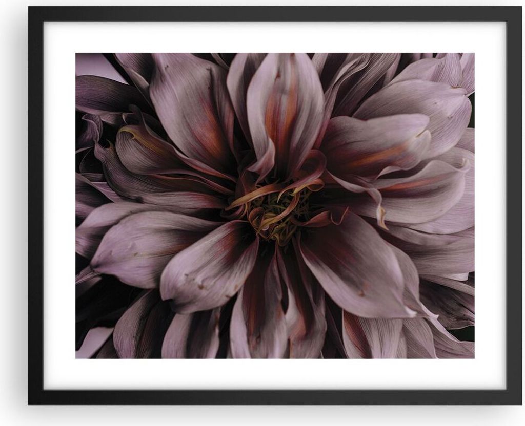 Gerahmtes Poster - Schwarzer Rahmen - Blumenstrauß Künstlerisch Blume - 50x40 cm - Wand Bild - Wanddeko - Wandbilder - Kunstposter - Wandposter -...